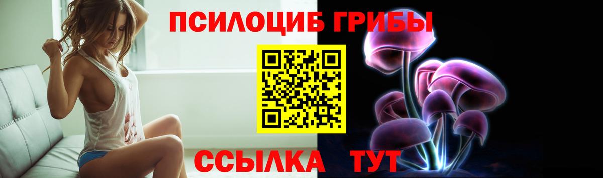 Псилоцибиновые грибы GOLDEN TEACHER Лабинск